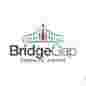 Bridgegap Consults Limited logo